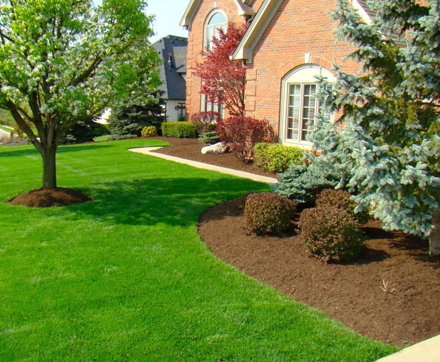 Lemuz Landscaping Schwenskvilla PA landscaping near me, landscaping, landscapers, landscape companies near me, landscaper near me, landscaping jobs near me, landscape designers near me, landscape design, landscape, landscapers near me, landscape supply near me