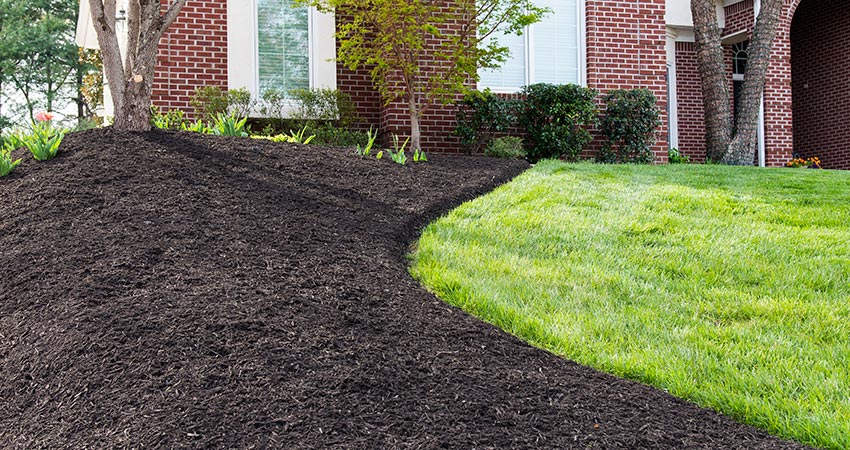 Lemuz Landscaping Schwenskvilla PA landscaping near me, landscaping, landscapers, landscape companies near me, landscaper near me, landscaping jobs near me, landscape designers near me, landscape design, landscape, landscapers near me, landscape supply near me